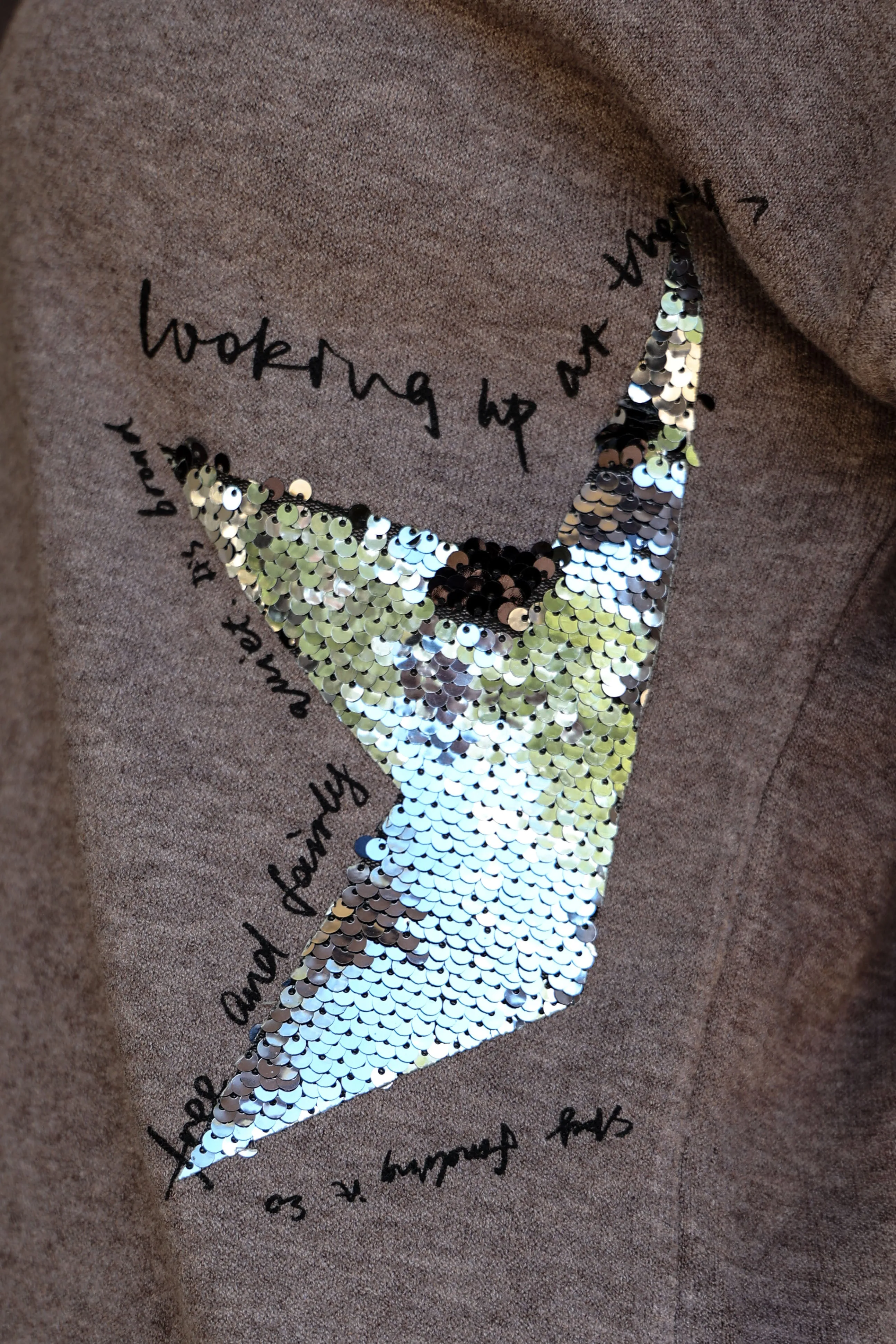 Look Mode Taupe Sweater With Silver Sequin Stars