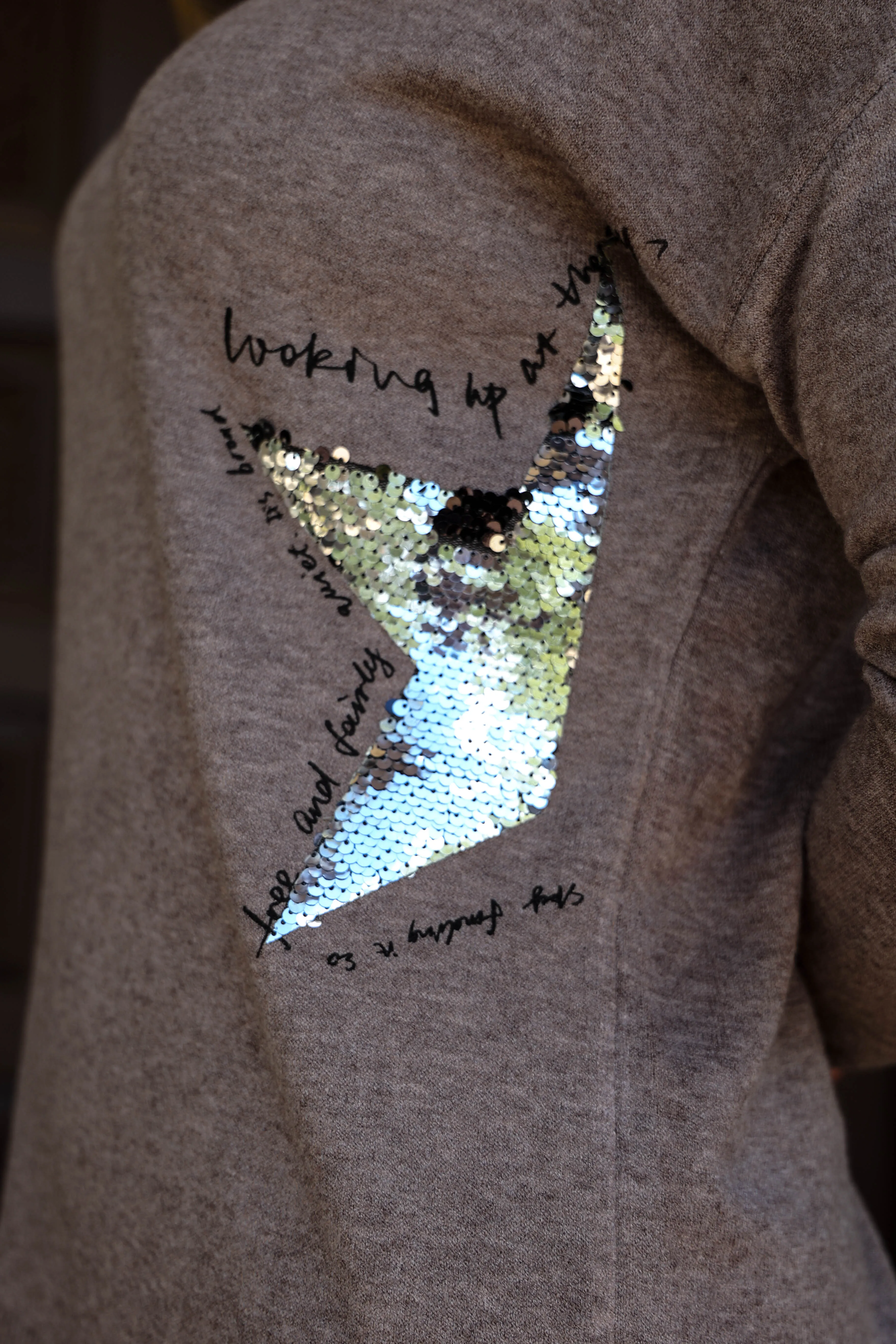 Look Mode Taupe Sweater With Silver Sequin Stars