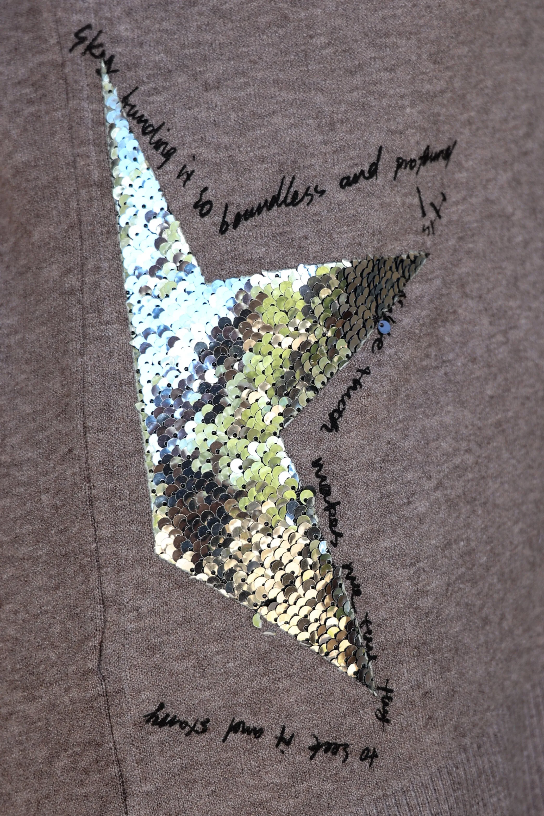 Look Mode Taupe Sweater With Silver Sequin Stars